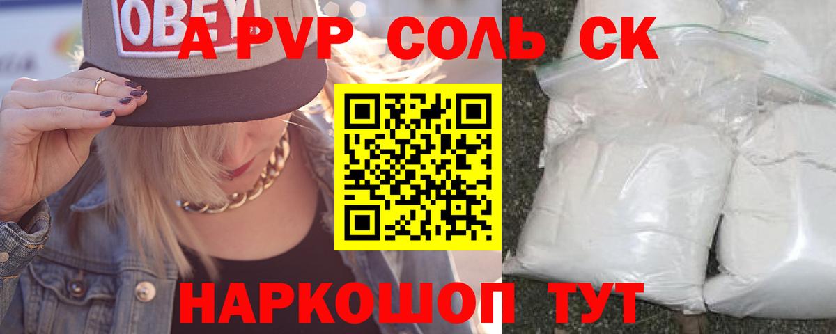 APVP СК Бердск