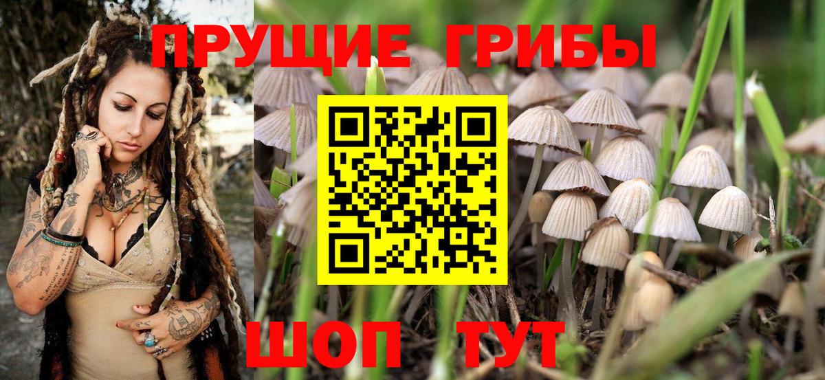 Галлюциногенные грибы прущие грибы Бердск